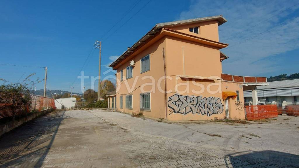 immagine annuncio 9 di 12