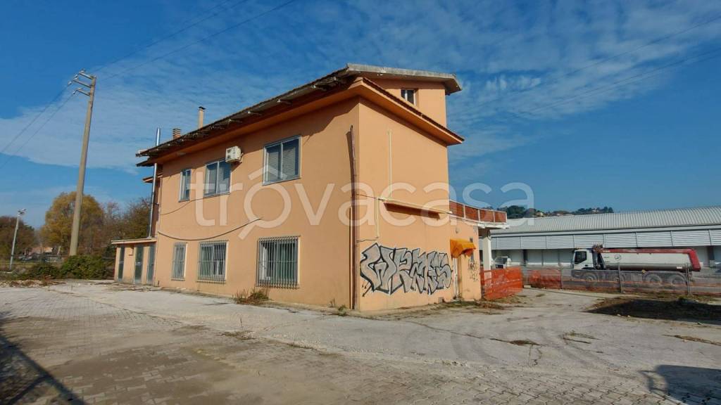 immagine annuncio 10 di 12