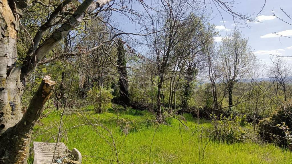 immagine annuncio 4 di 14