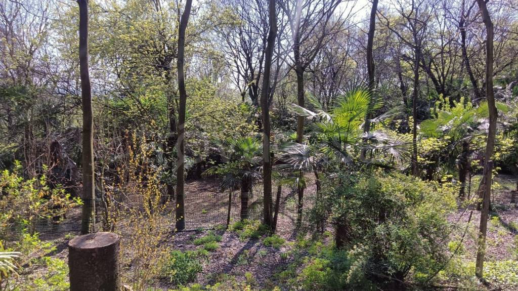 immagine annuncio 7 di 14