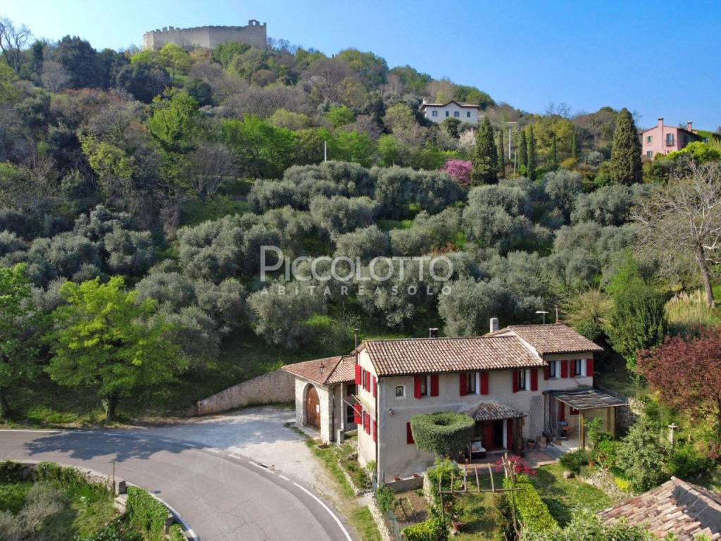 immagine annuncio 1 di 12