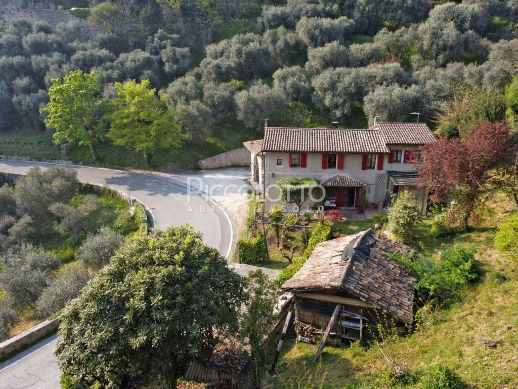 immagine annuncio 6 di 12