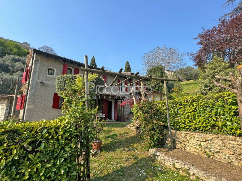 immagine annuncio 7 di 12