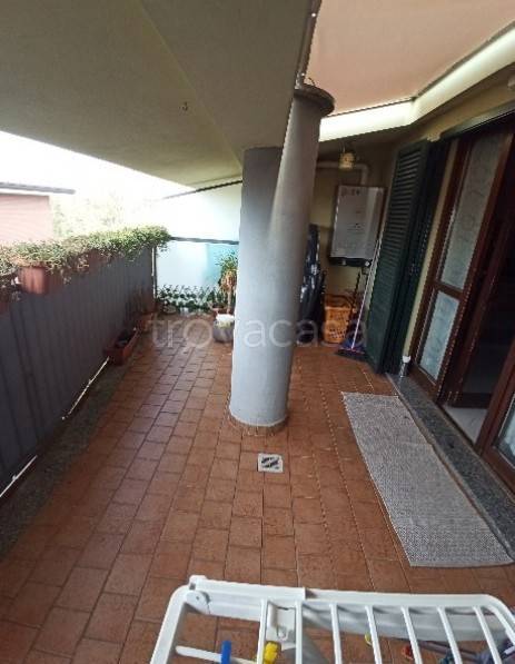 immagine annuncio 9 di 15