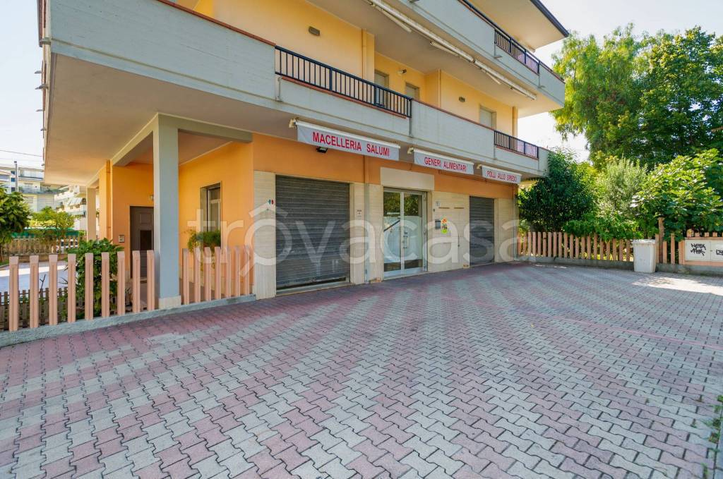 immagine annuncio 2 di 11