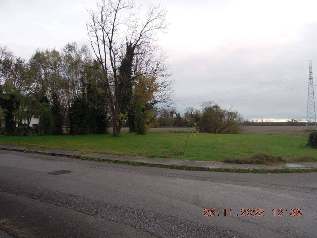 immagine annuncio 4 di 6