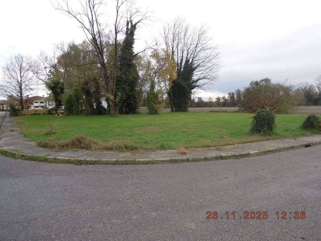 immagine annuncio 5 di 6