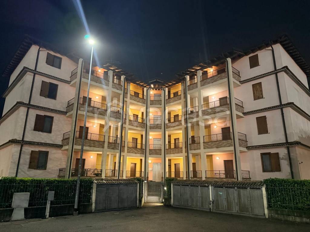 immagine annuncio 1 di 14