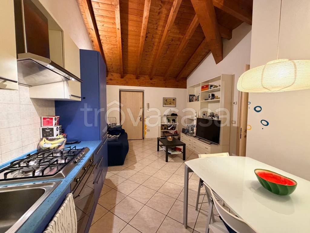 immagine annuncio 1 di 14