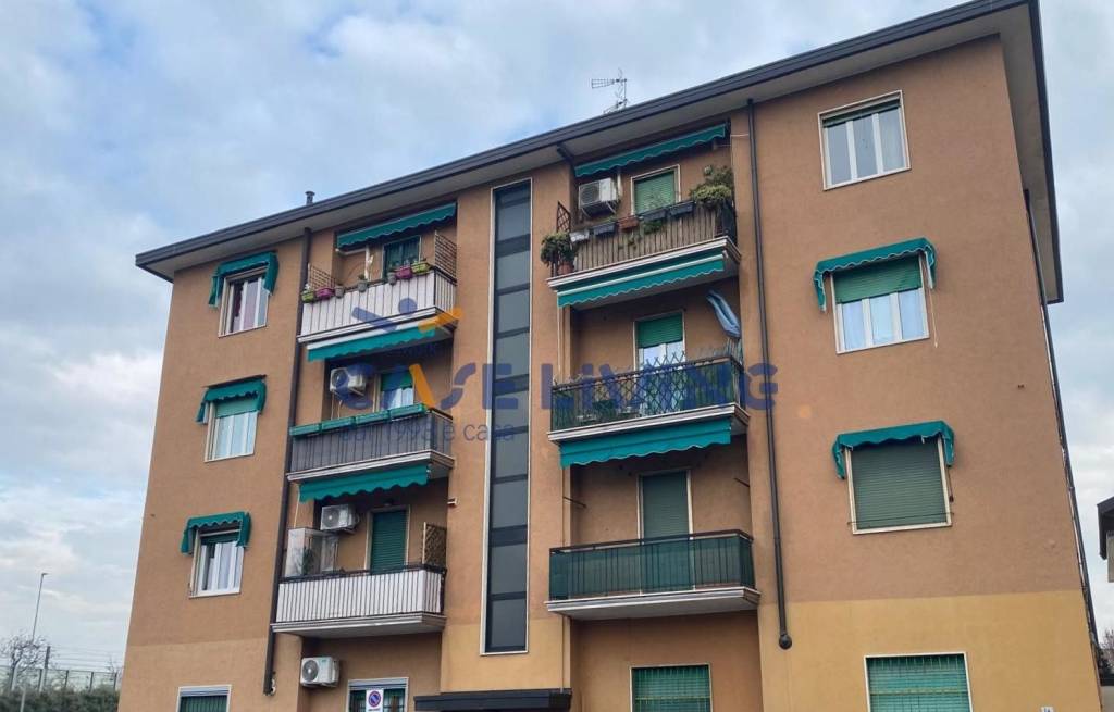 immagine annuncio 10 di 12