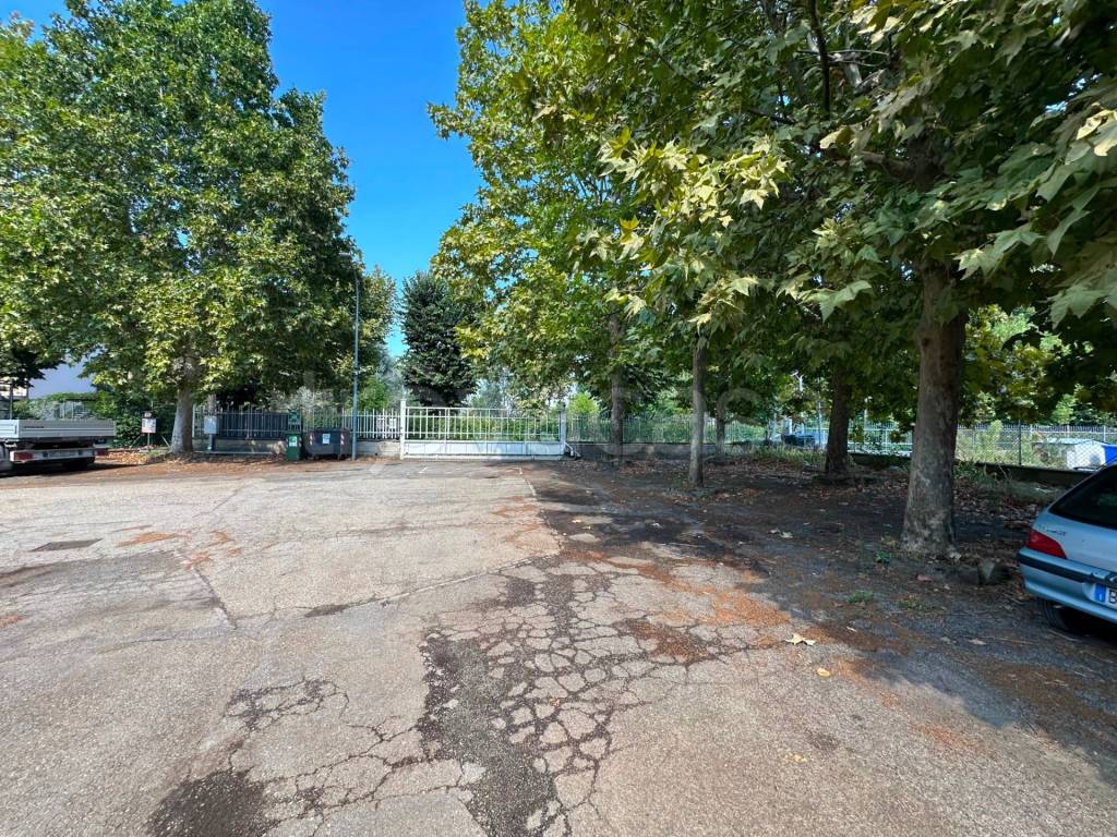 immagine annuncio 3 di 13