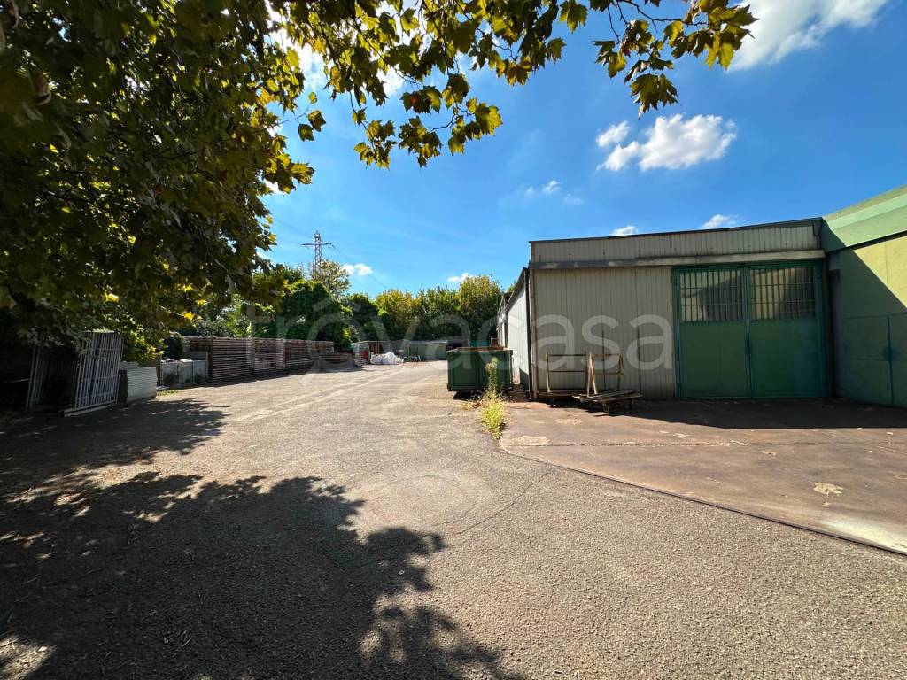 immagine annuncio 9 di 13