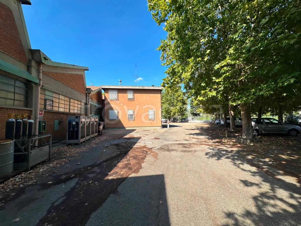 immagine annuncio 11 di 13