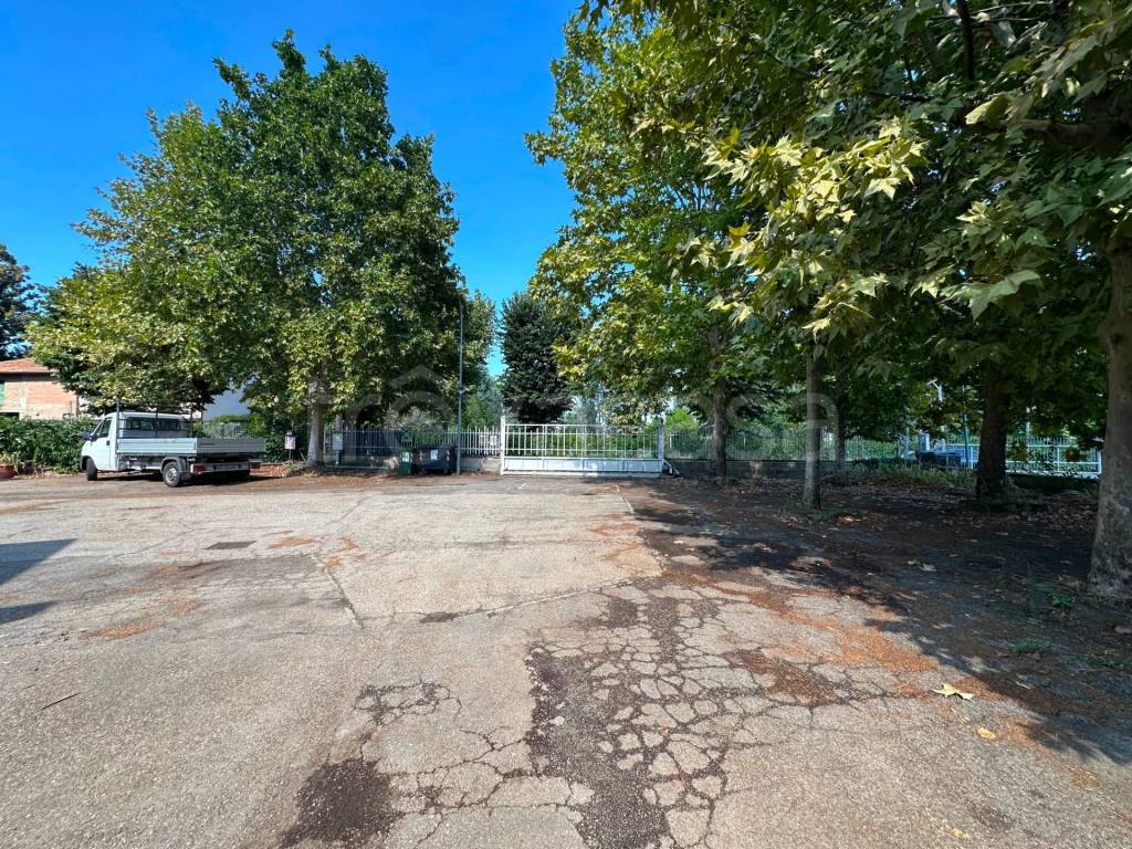 immagine annuncio 12 di 13