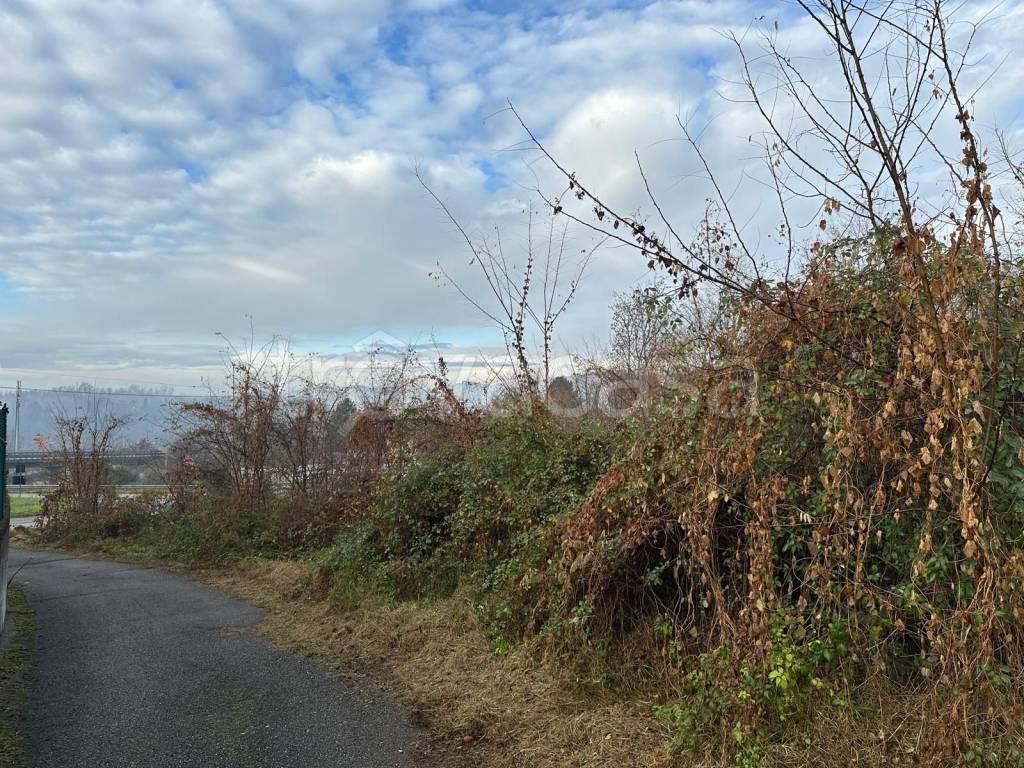 immagine annuncio 3 di 11