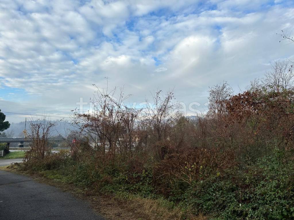 immagine annuncio 4 di 11