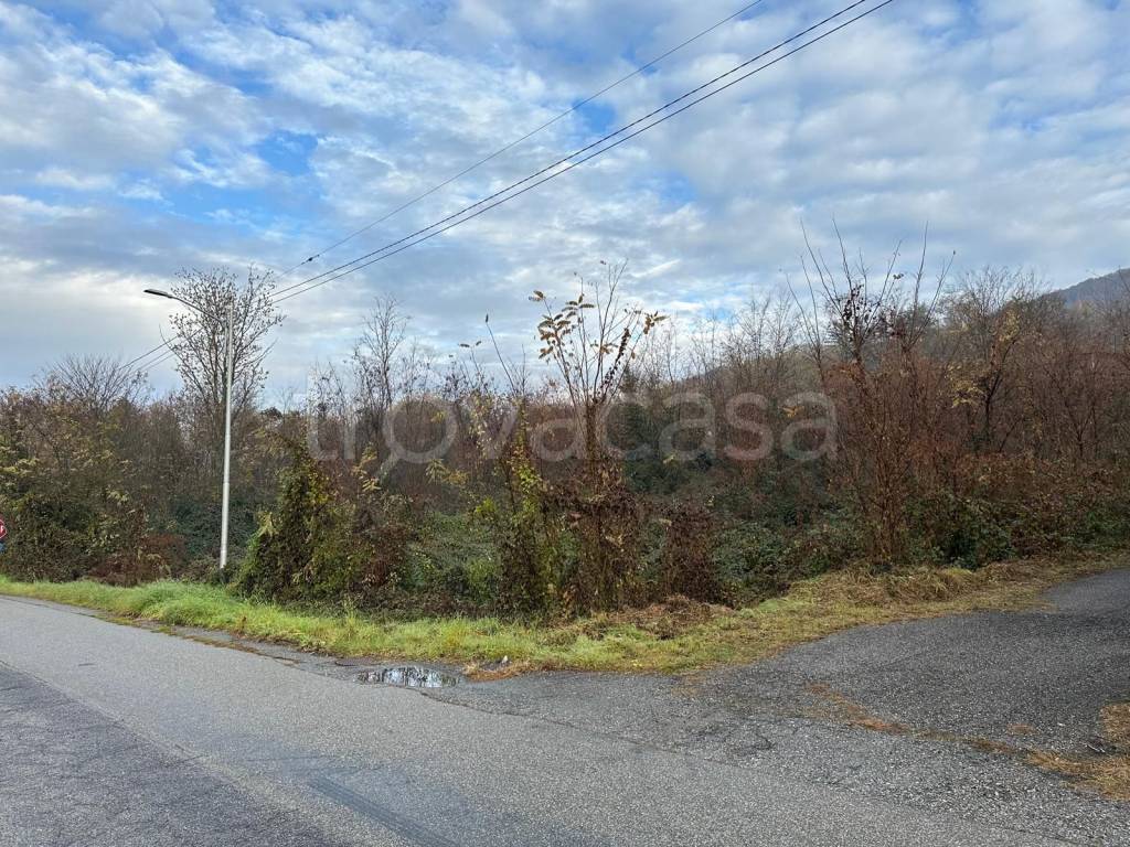 immagine annuncio 5 di 11