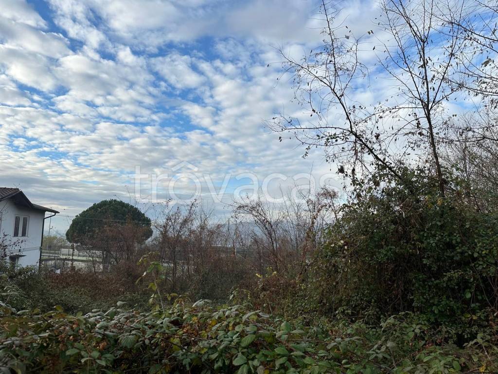 immagine annuncio 6 di 11