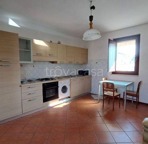 immagine annuncio 4 di 12