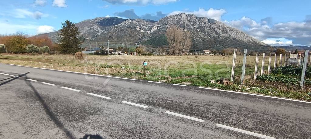 immagine annuncio 2 di 6