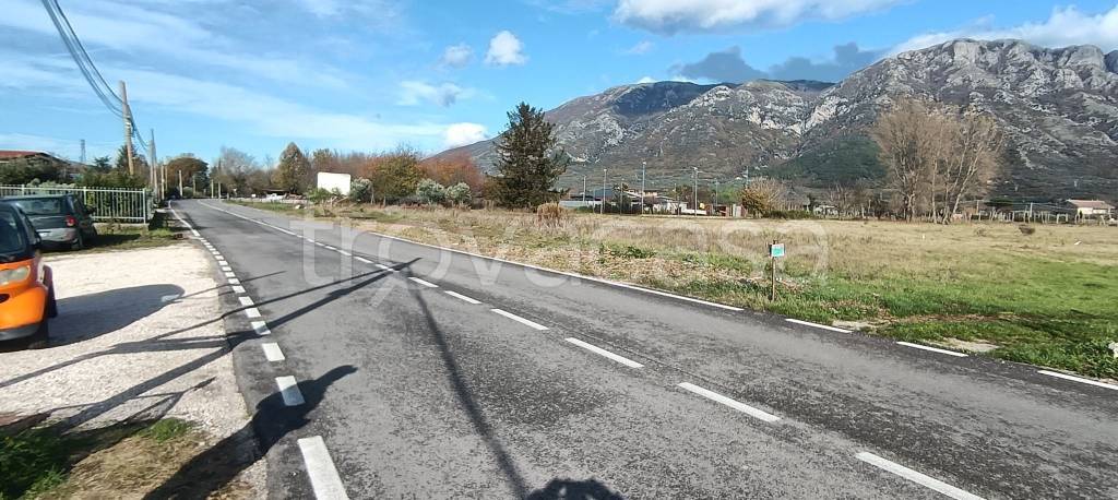 immagine annuncio 3 di 6