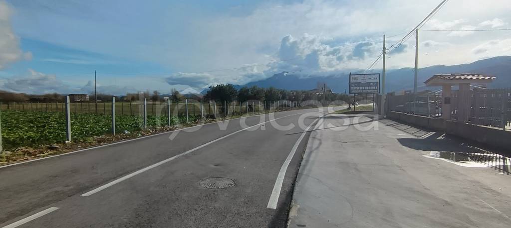 immagine annuncio 4 di 6