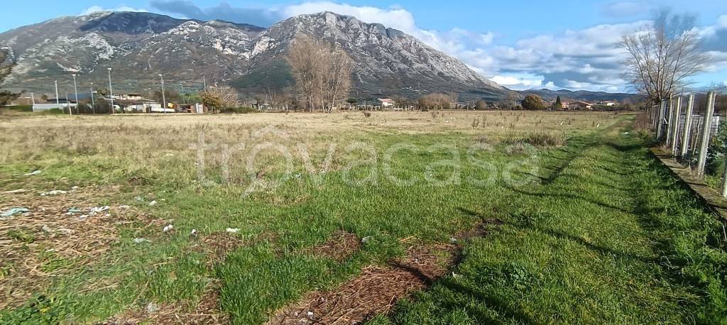 immagine annuncio 5 di 6