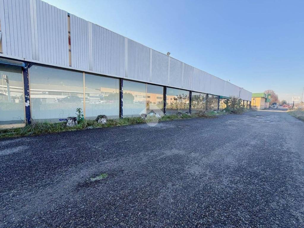 immagine annuncio 11 di 13