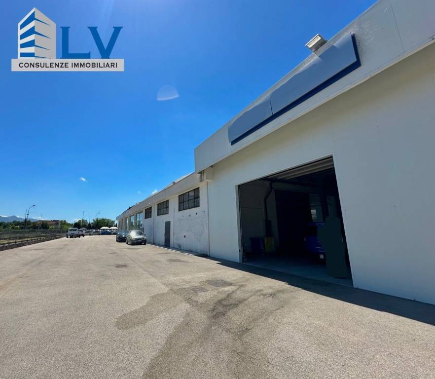 immagine annuncio 4 di 12