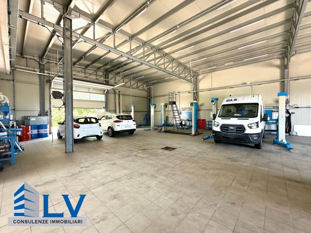 immagine annuncio 6 di 12