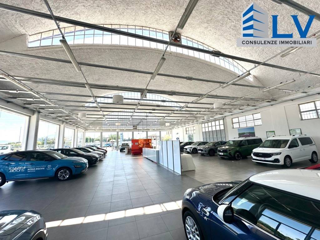 immagine annuncio 9 di 12