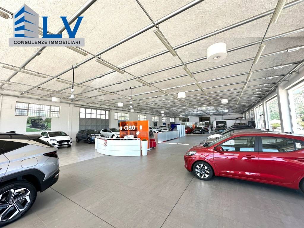 immagine annuncio 11 di 12