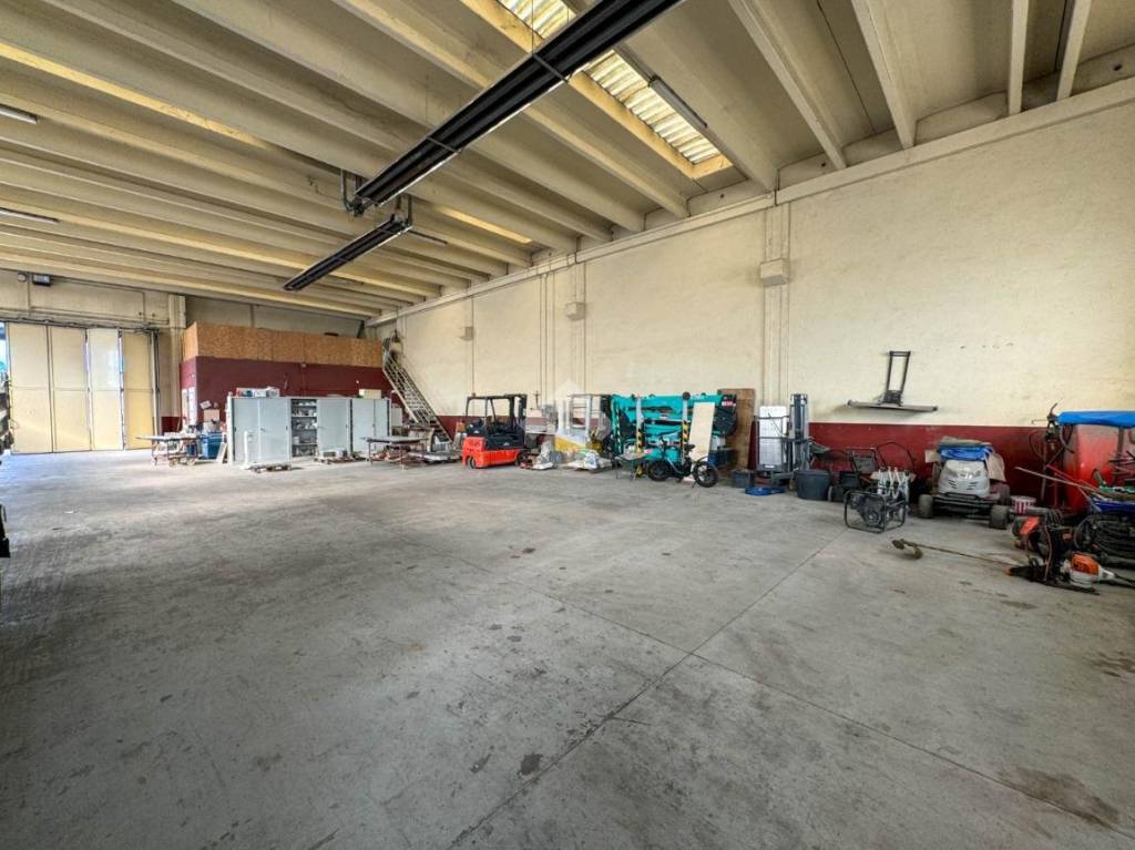 immagine annuncio 5 di 15