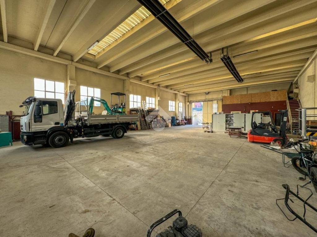 immagine annuncio 12 di 15