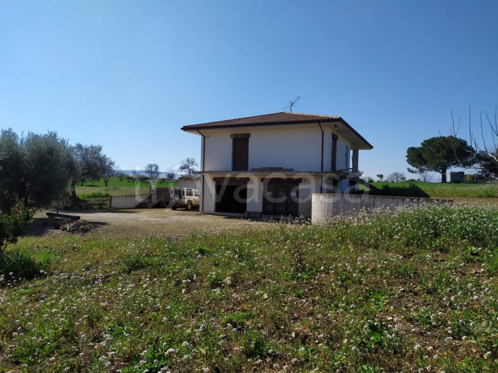 immagine annuncio 1 di 8