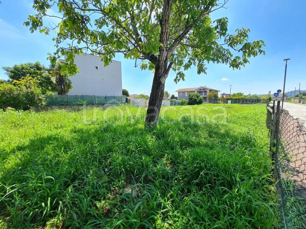 immagine annuncio 13 di 14