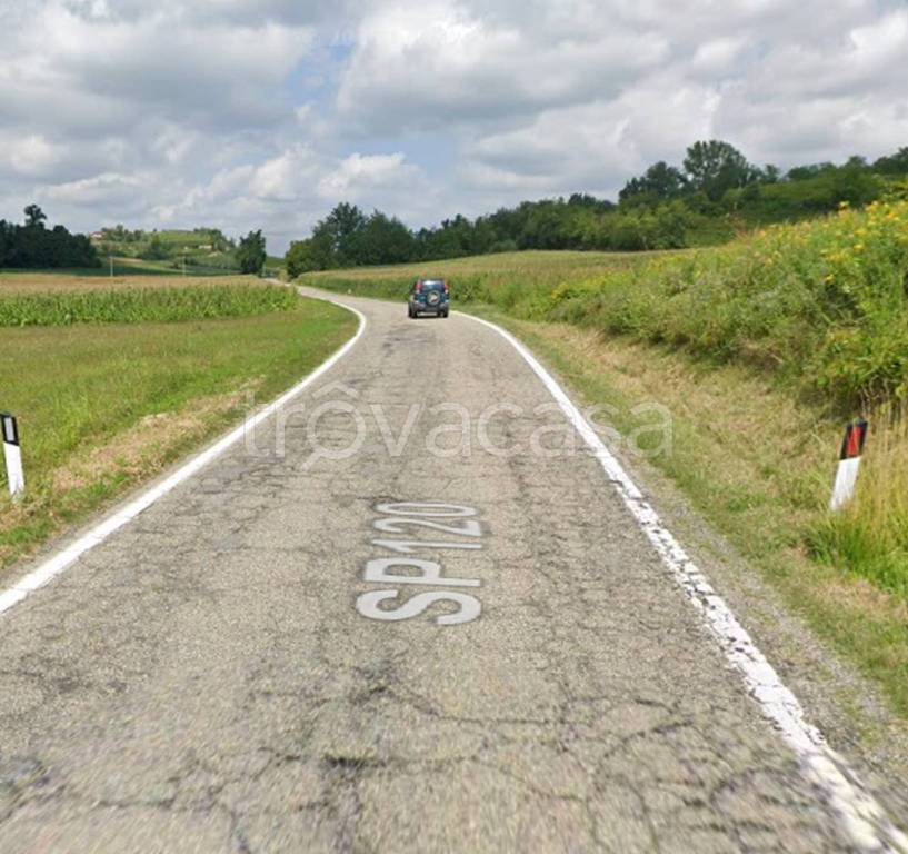 immagine annuncio 3 di 11