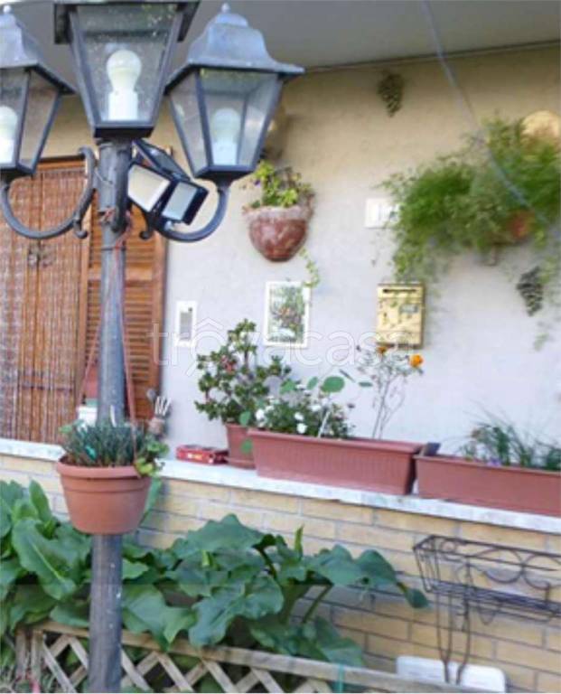 immagine annuncio 3 di 13