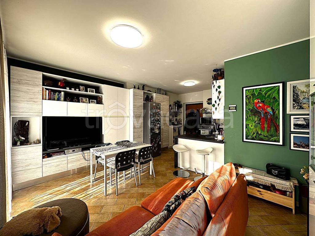 immagine annuncio 9 di 15