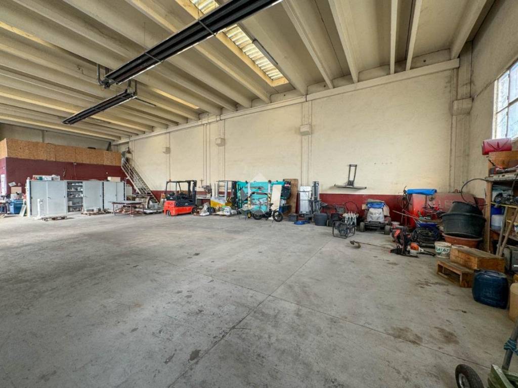 immagine annuncio 3 di 15