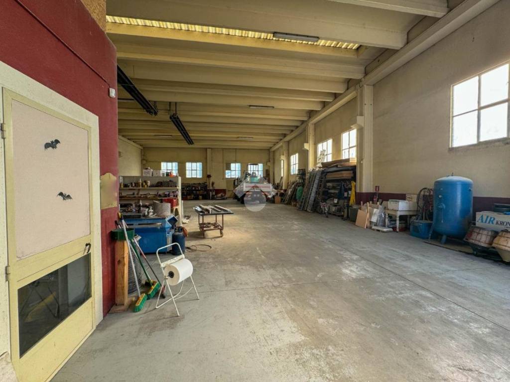 immagine annuncio 5 di 15