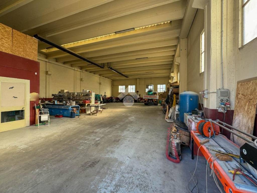 immagine annuncio 6 di 15