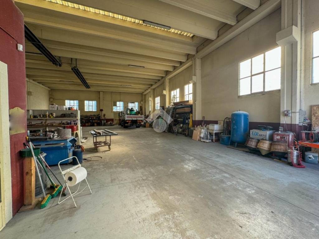 immagine annuncio 12 di 15