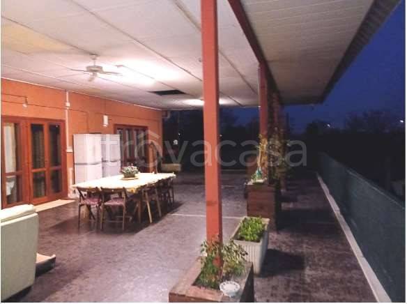 immagine annuncio 3 di 7