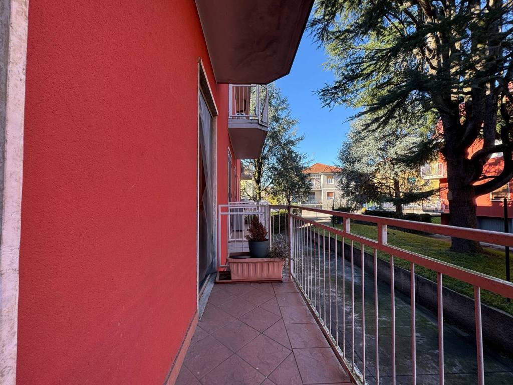 immagine annuncio 12 di 15