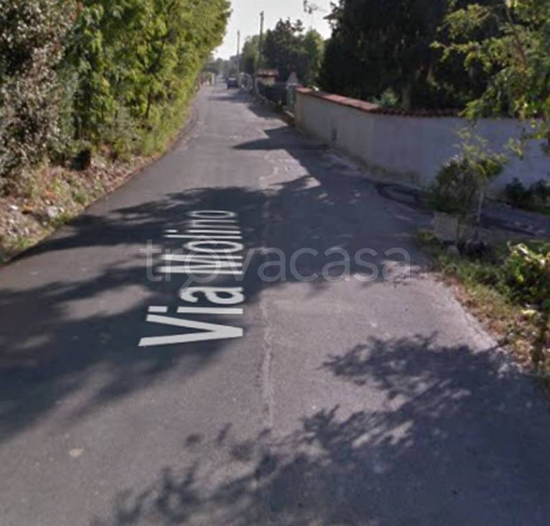 immagine annuncio 1 di 12