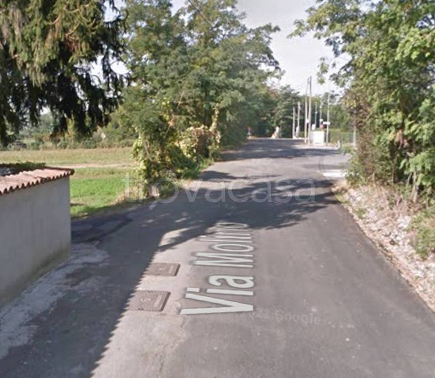 immagine annuncio 3 di 12