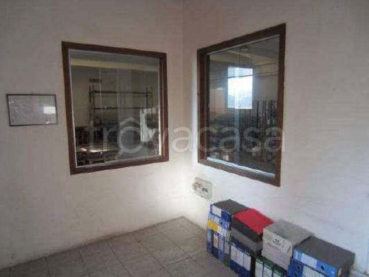 immagine annuncio 4 di 6