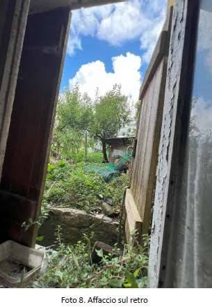 immagine annuncio 6 di 14