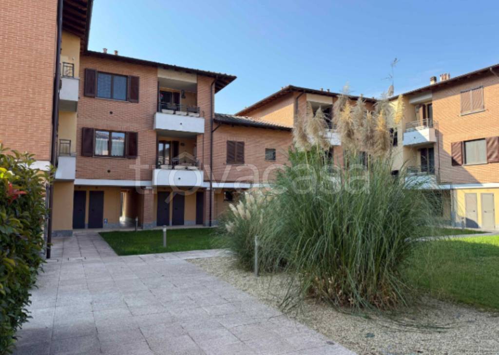 immagine annuncio 1 di 11